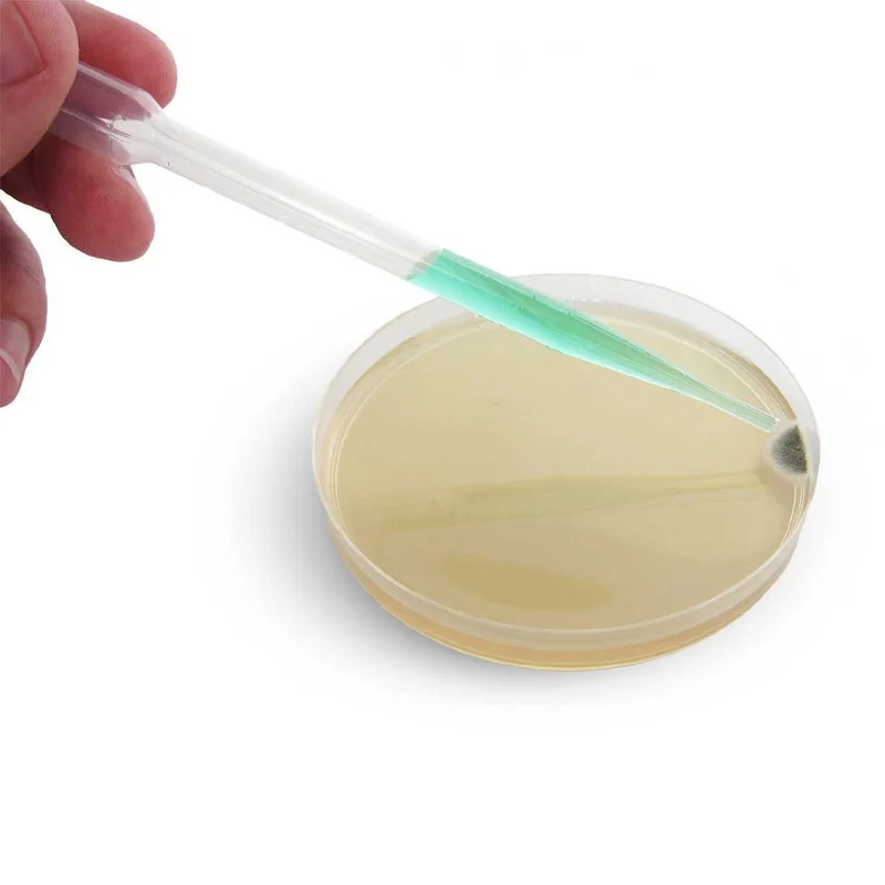 Bacteria Testing Science Kit