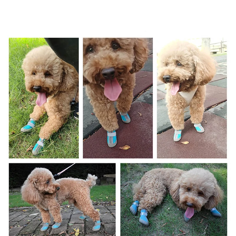 Skanto Skanto | Robuste Outdoor Hundeschuhe mit Mesh - Allzweck Pfotenschutz