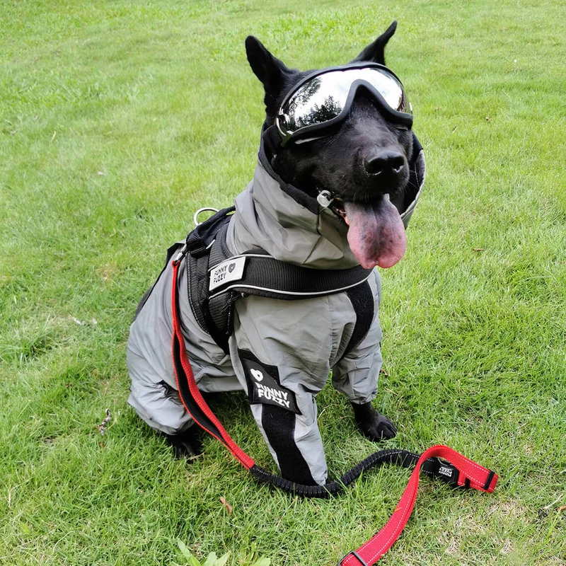 Skanto | Reflektierender Allwetter Wasserdichter Cooler Hunde-Regenmantel