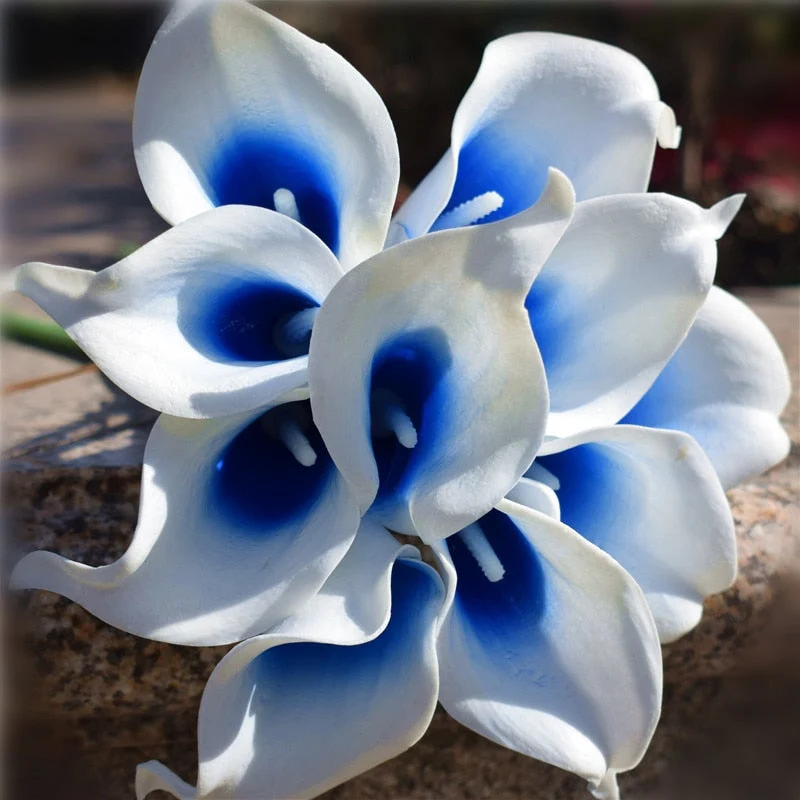 Skanto | 10 Marineblaue Calla Lilien PU Real Touch Blumen Hochzeitsdekoration Sträuße Tischdeko Kunstblumen Heimdeko