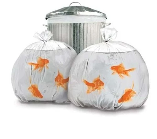 Goldfish Bin Bags