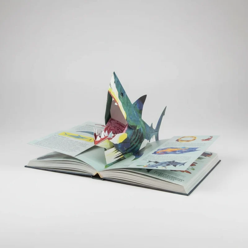3D Pop-up Buch Dinosaurier