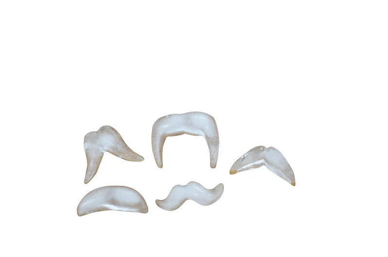 Mustache Ice Cube Molds
