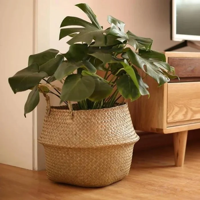 Skanto | Rattan Pflanzenständer