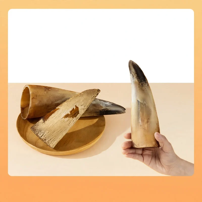 Kaustab mit Fleisch und Rinderknochen für Hunde