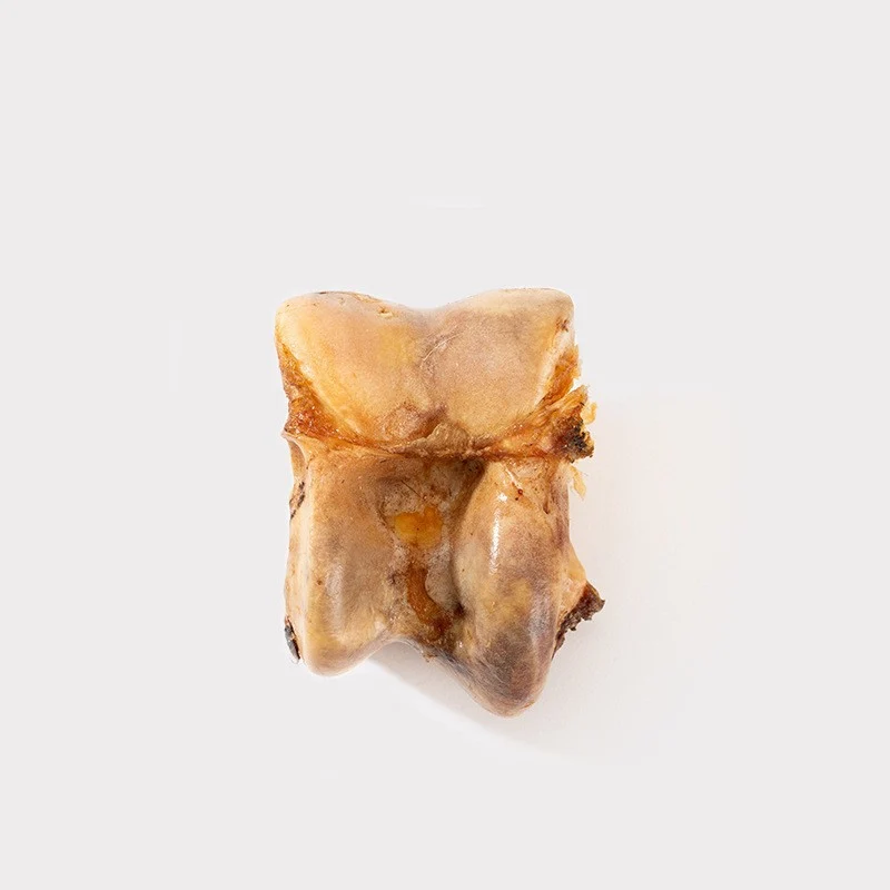Kaustab mit Fleisch und Rinderknochen für Hunde