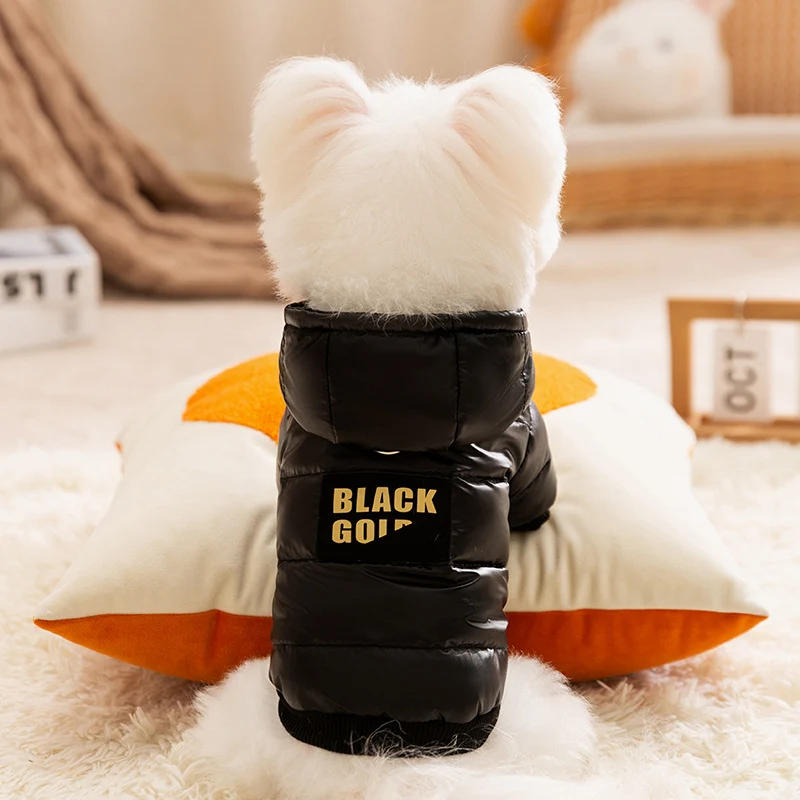 Katzenjacke mit Leine zum Anleinen