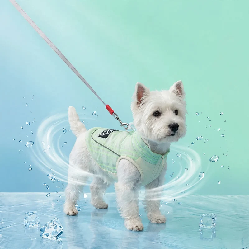 Hundeträgershirt mit Reflektoren für Sommer