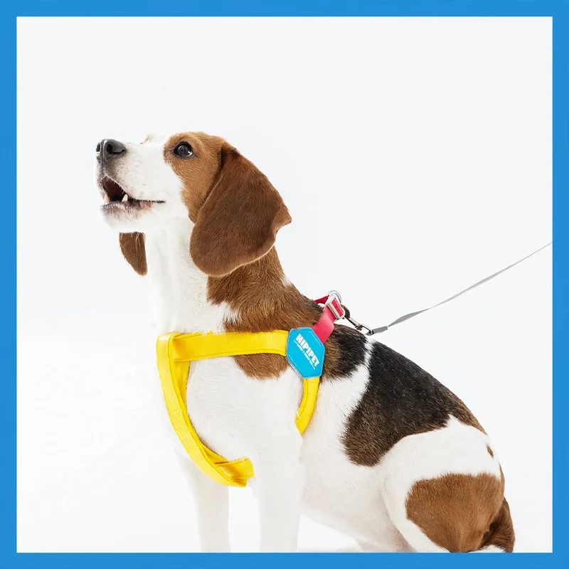 Y-förmiges Hundegeschirr aus Polyester, verstellbar