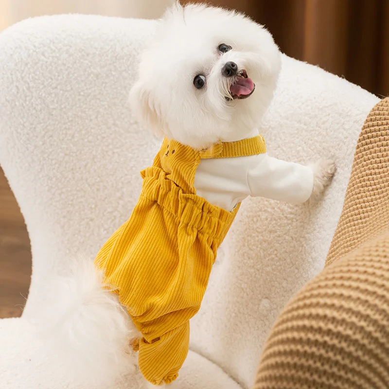 Hundeoverall mit Trägerhose aus Cord