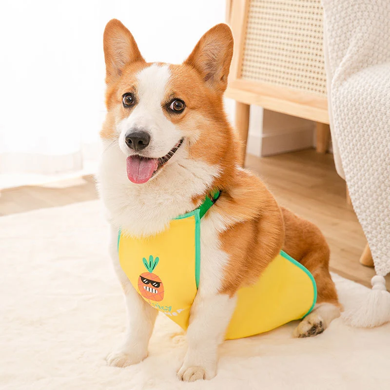 Wasserdichte Bauchschutz-Weste für Hunde