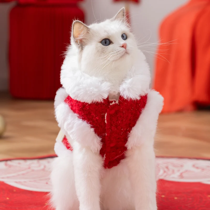 Wärmeweste für Katzen, chinesischer Stil
