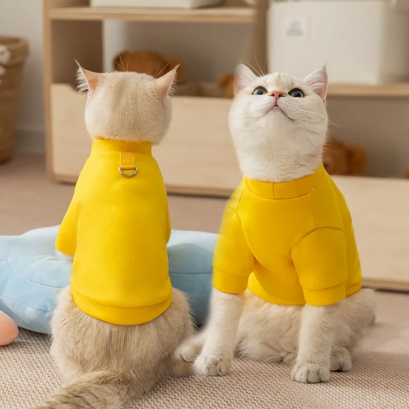 Sweatshirt für kleine Hunde und Katzen
