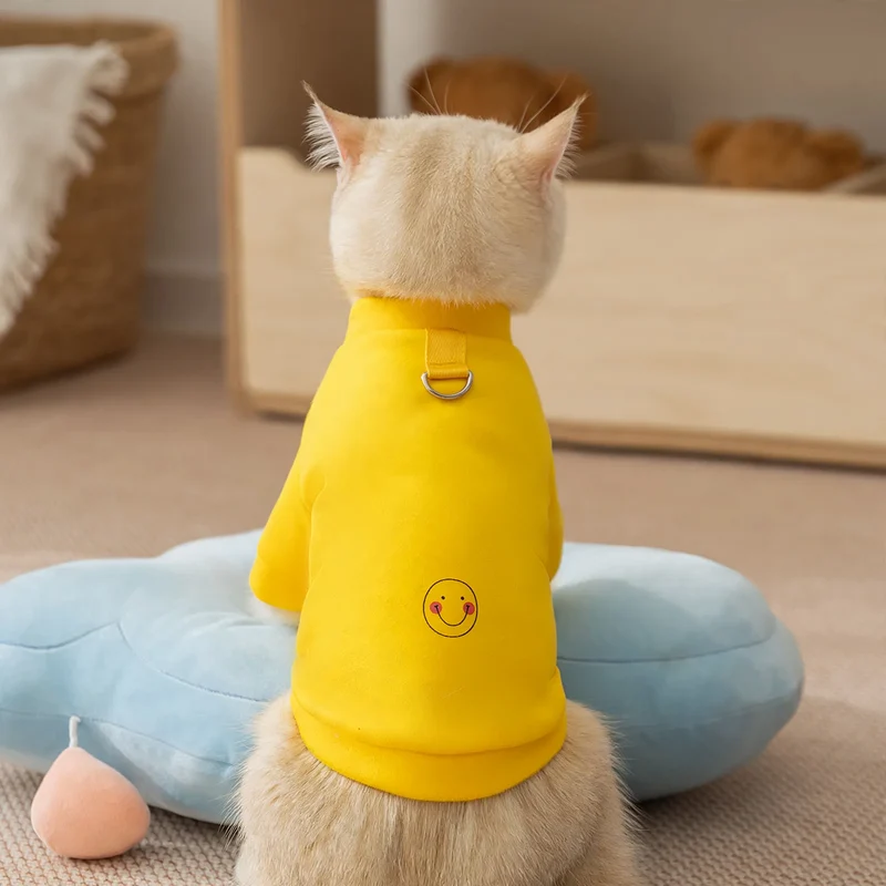Sweatshirt für kleine Hunde und Katzen