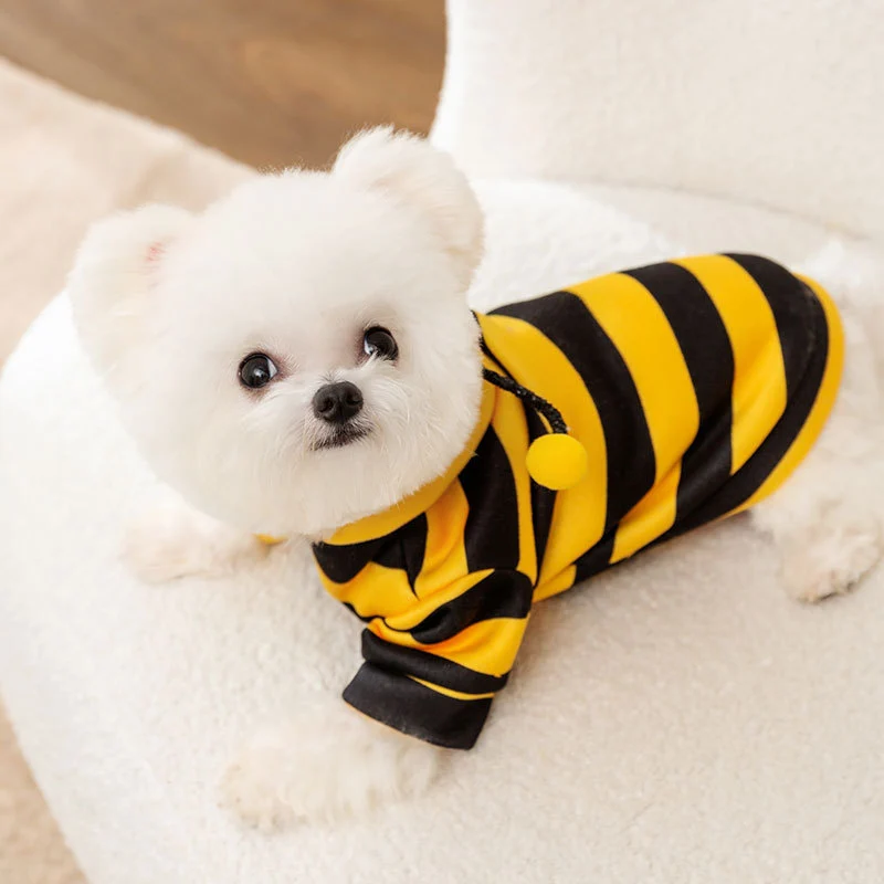 Sweatshirt für Hunde und Katzen mit Bienenmotiv