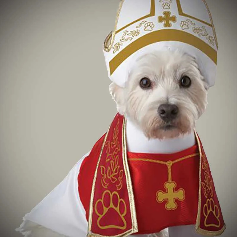 Holy Dog Costume