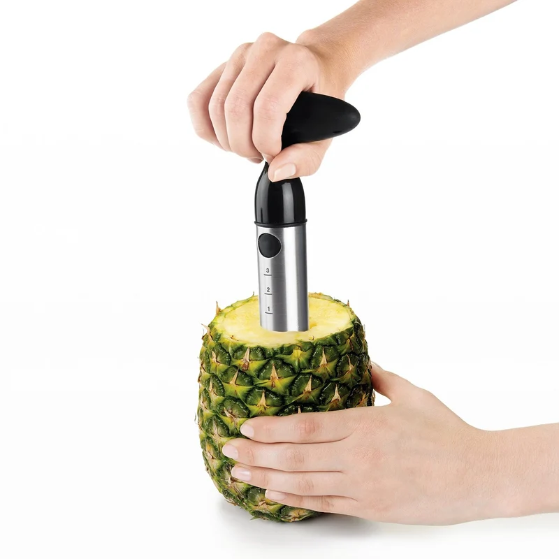 Easy Pineapple Slicer