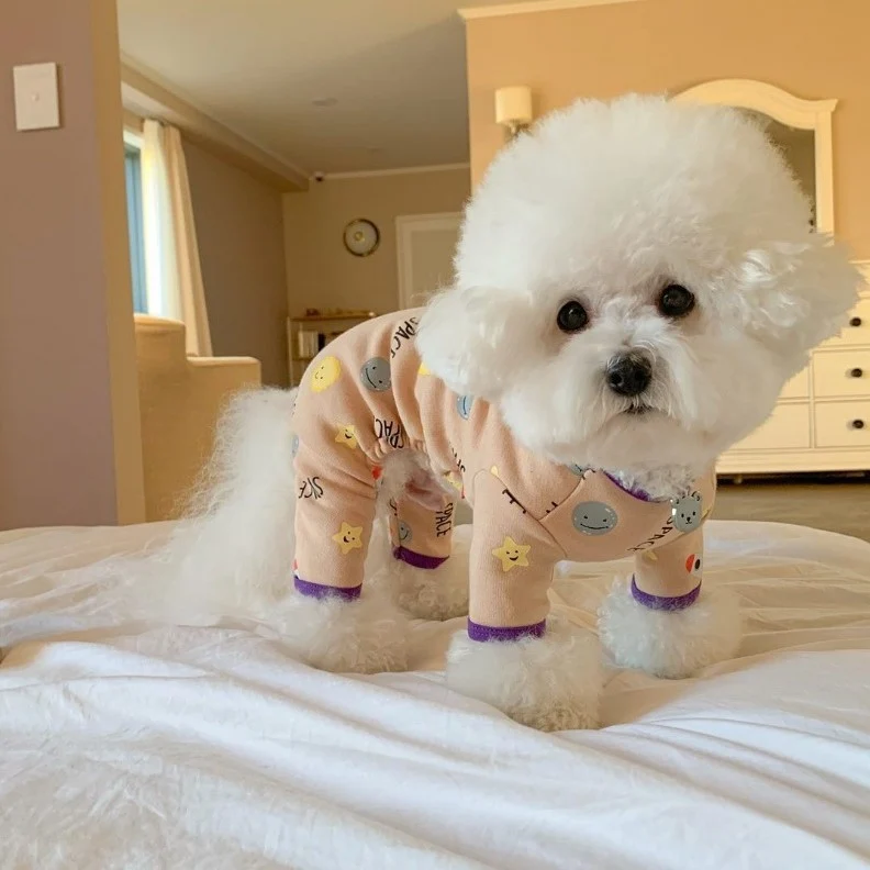 Hundeoverall mit vier Beinen aus Fleece
