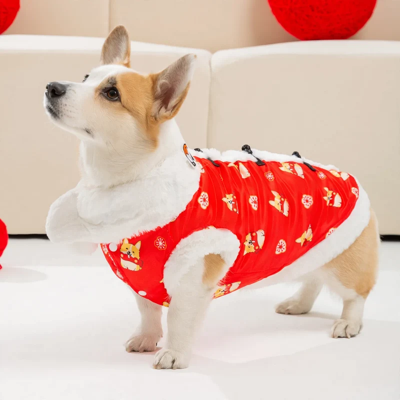 Chinesische Festtagsweste für Hunde, Seide