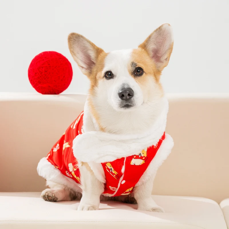 Chinesische Festtagsweste für Hunde, Seide