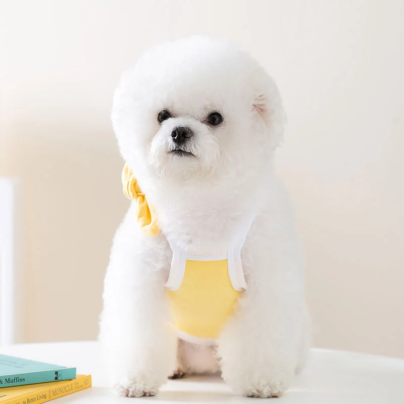 Hundeträgerkleid mit Schleife