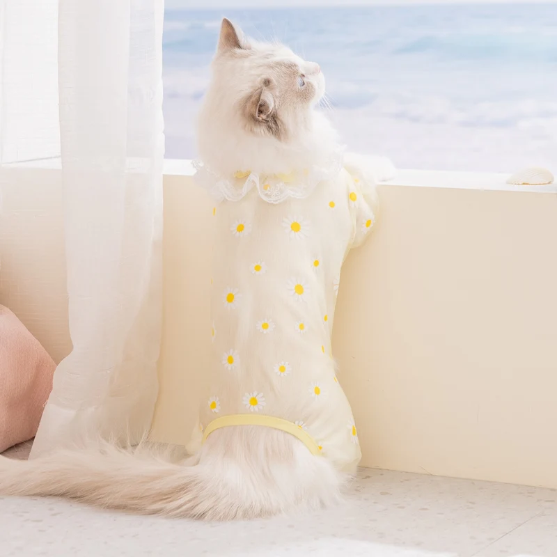 Katzenkleidung, Netzstoff, Vier Beine, Sommer