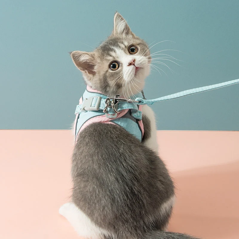 Reflektierendes Geschirr mit Leine für Katzen und kleine Hunde