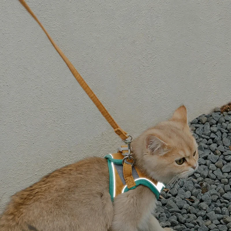 Reflektierendes Geschirr mit Leine für Katzen und kleine Hunde