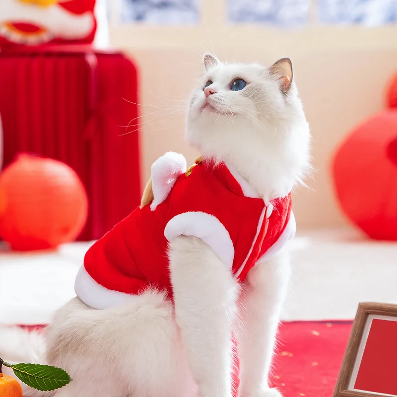 Wärmeweste für Katzen und kleine Hunde