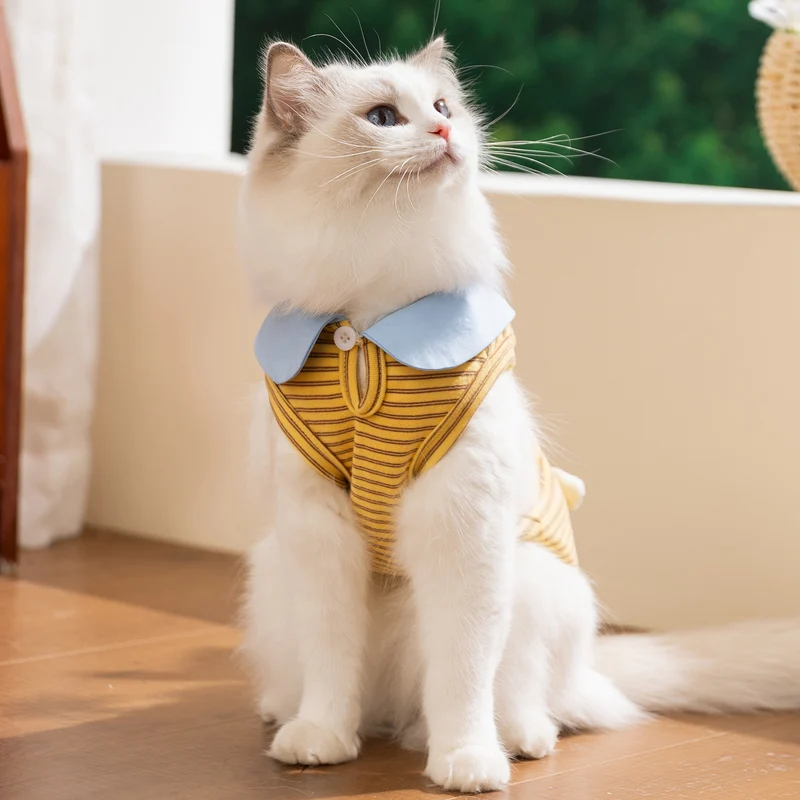 Sommer-Weste für Katzen und kleine Hunde