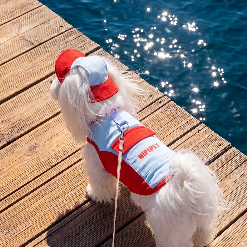 Sommer-Hundehemd, kühlend, mit Leine