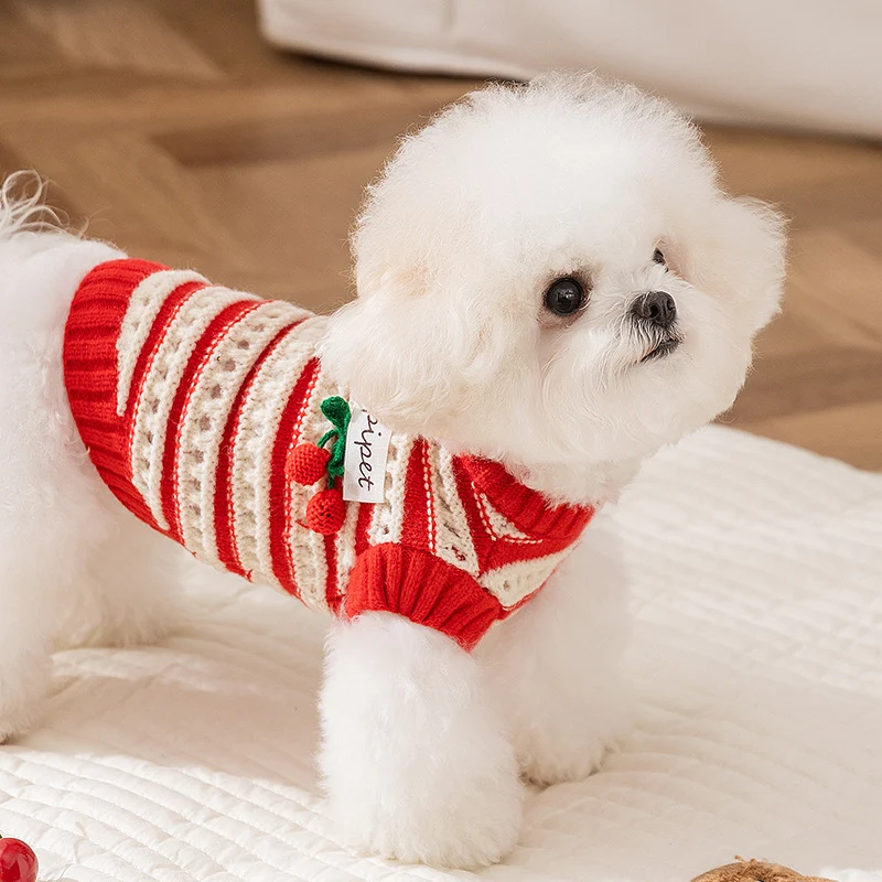 Strickpullover für Hunde mit Kirschmuster