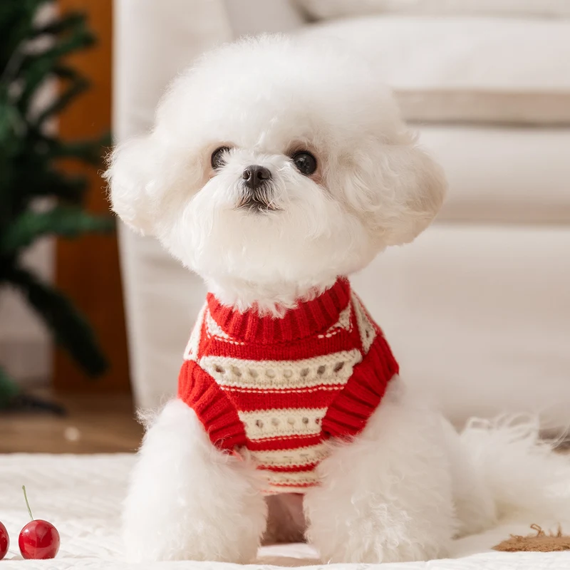 Strickpullover für Hunde mit Kirschmuster