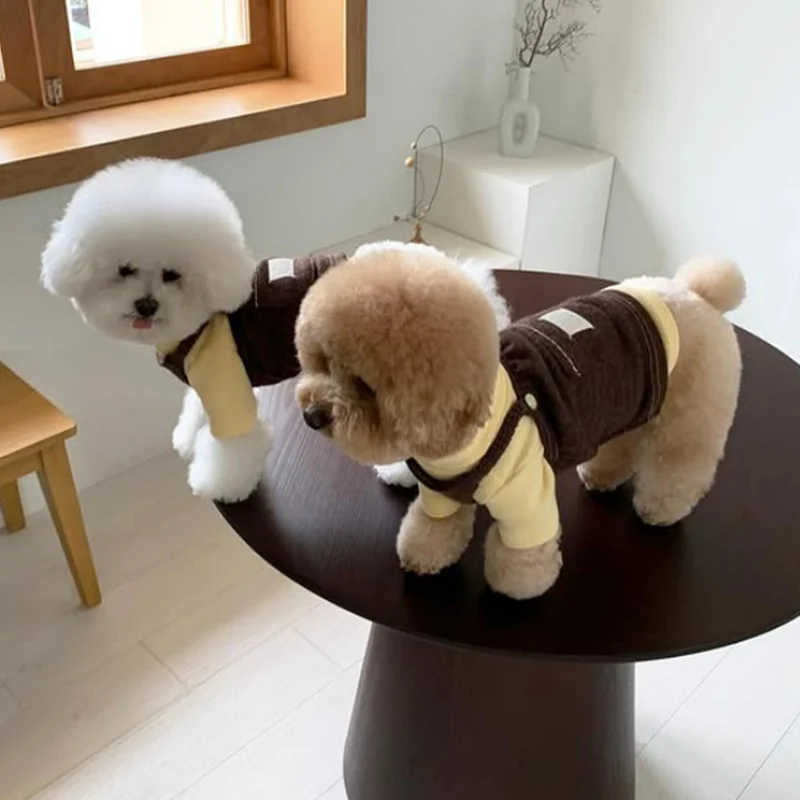 Hundeträgerkleid aus Kord, mit Tasche