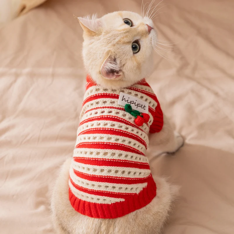 Ärmellose Strickweste für Katzen mit Lochmuster
