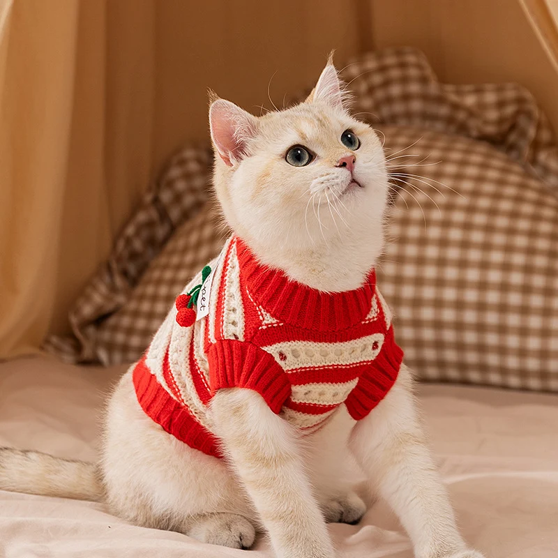 Ärmellose Strickweste für Katzen mit Lochmuster