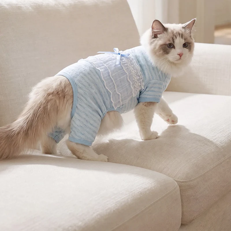 Katzen-Bauchschutz, dünn, vier Beine, Sommer
