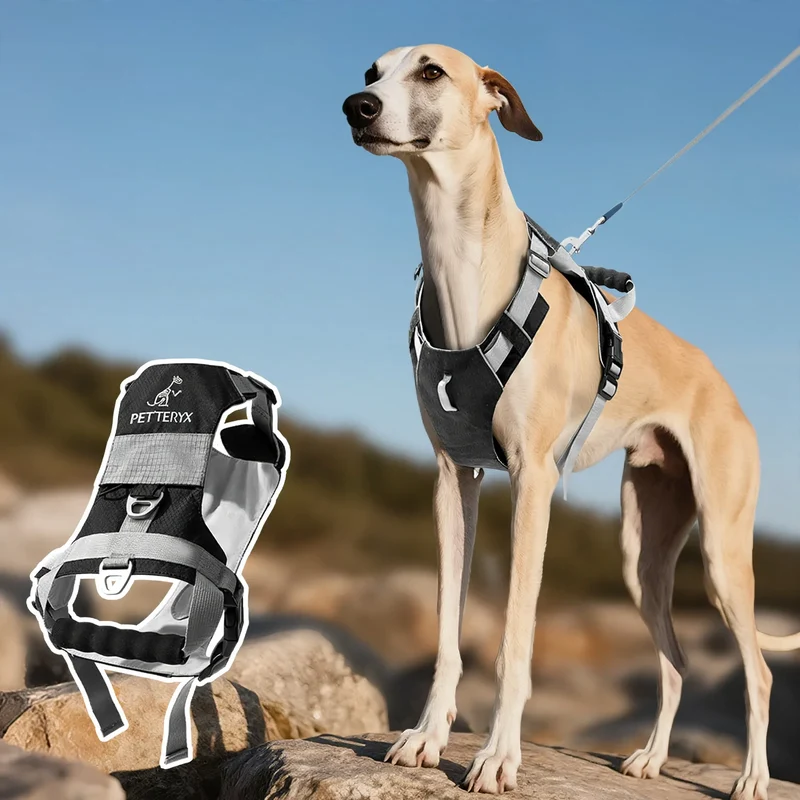Hundegeschirr mit Doppelring, atmungsaktiv, verschiedene Größen