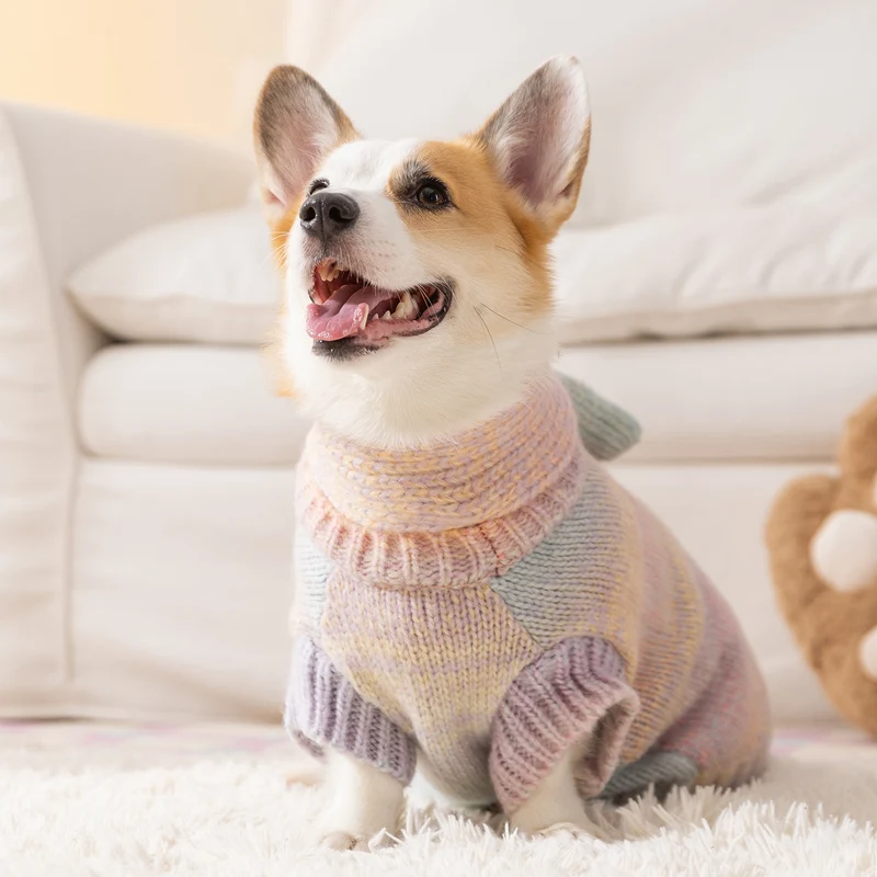 Regenbogen-Pullover für Hunde, vier Jahreszeiten