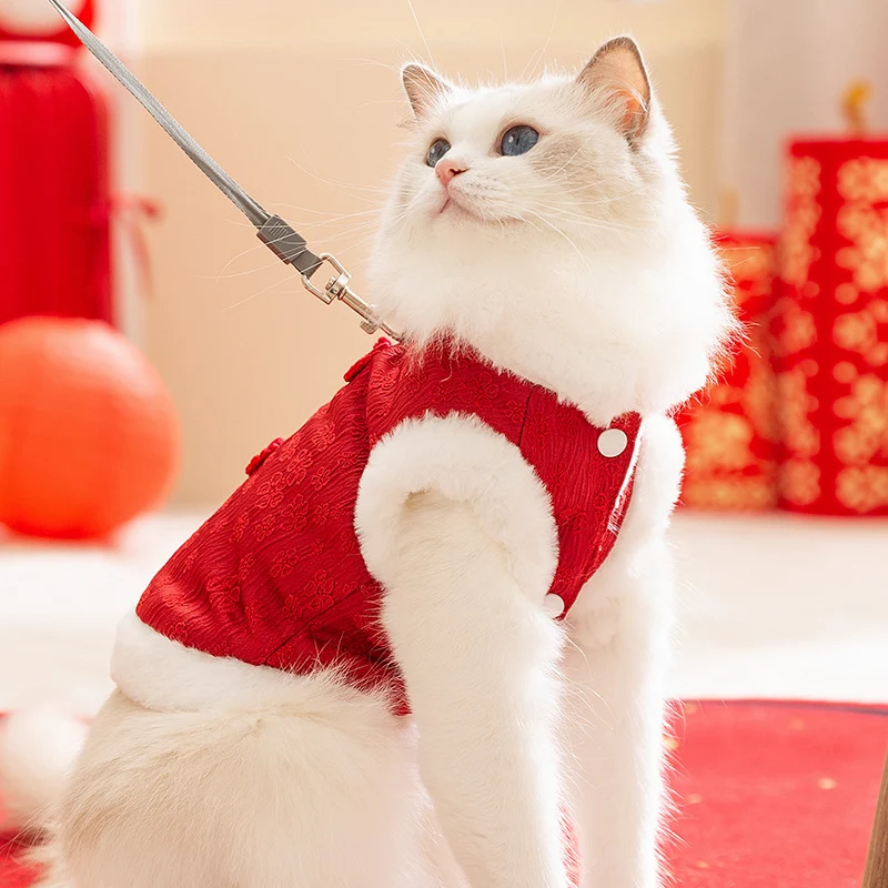 Chinesische Weste für Katzen, Winterstil