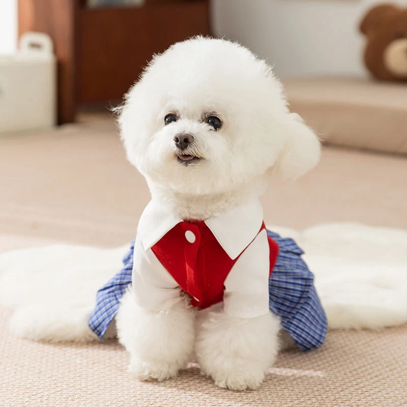 Kariertes Kleid für kleine Hunde – Herbst und Winter
