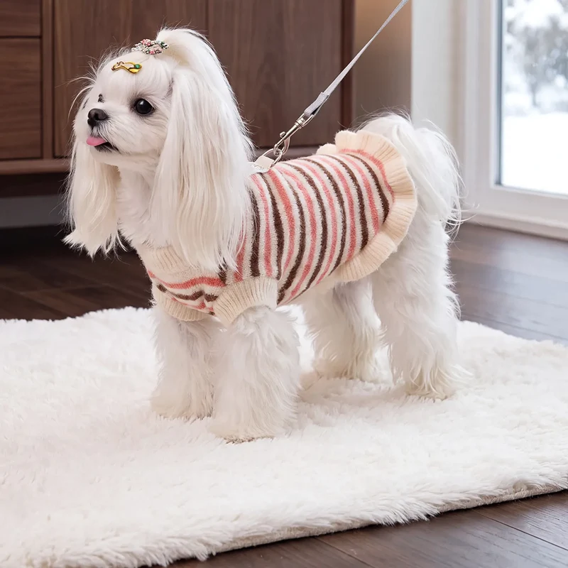 Gestreifter Pullover für kleine Hunde und Katzen