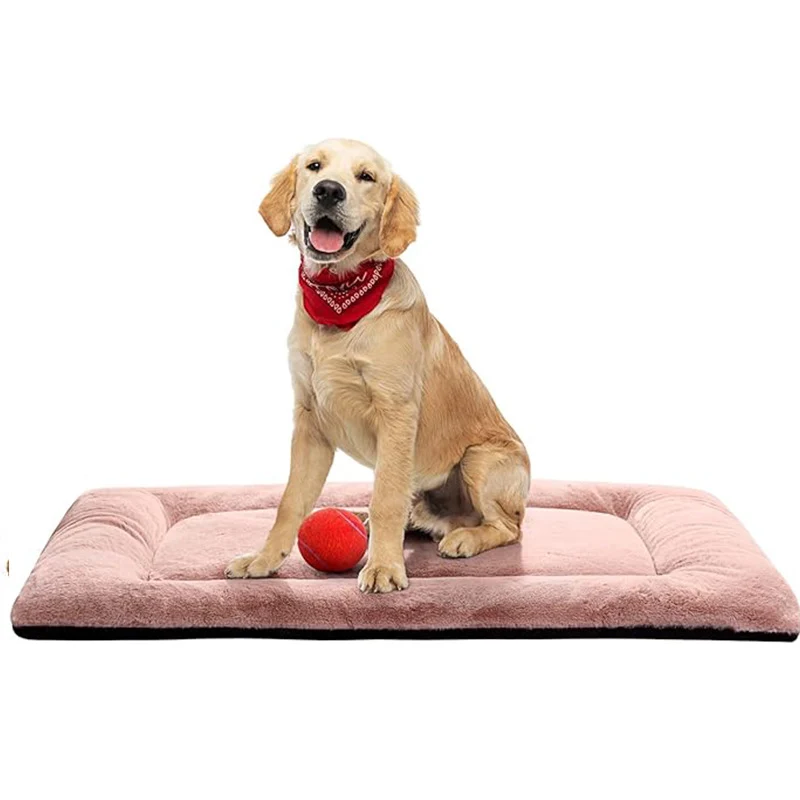 Komfort Hundebett