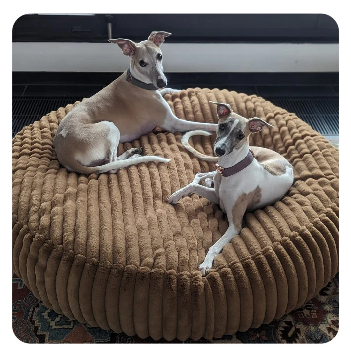 Rundes Plüsch-Lounge-Hundebett