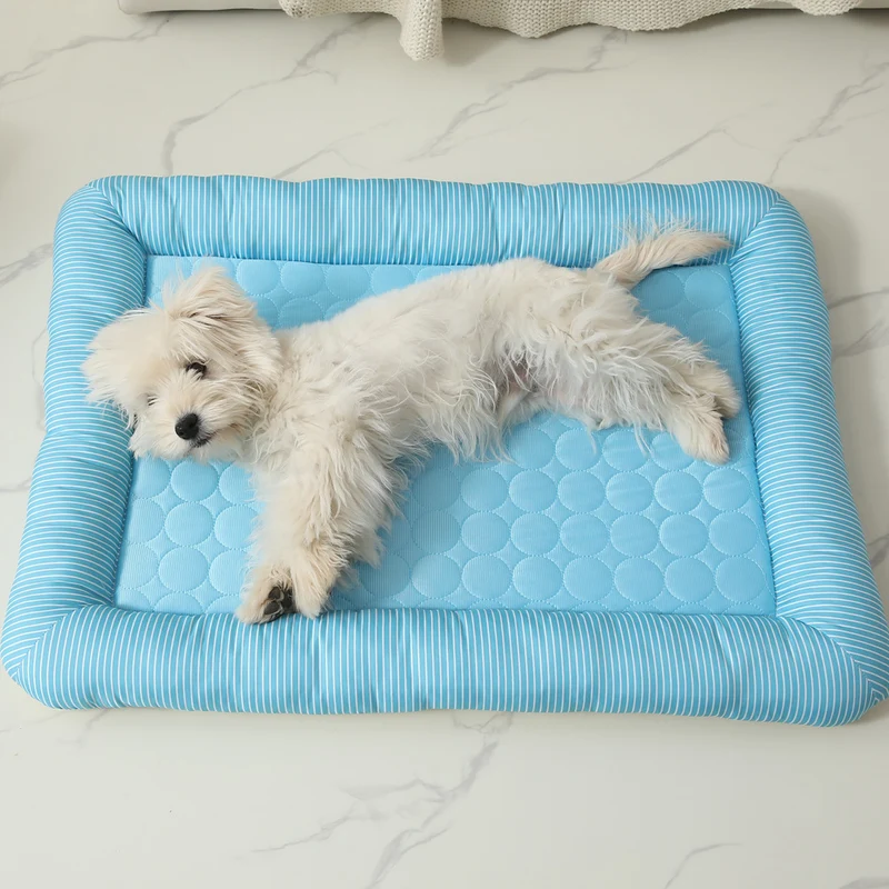 Hundebett