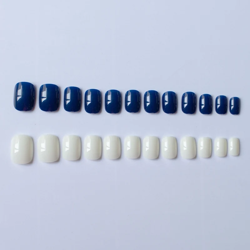 Elegantes Dual-Color-Nageldesign-Set