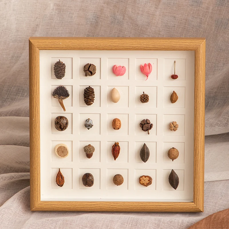 Botanisches Probenanzeige-Rahmen