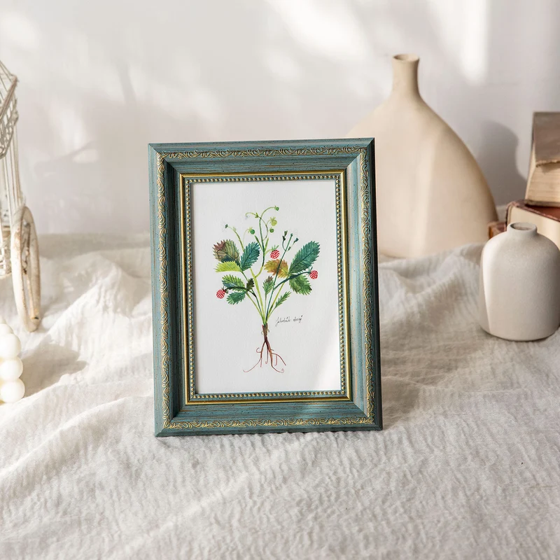 Dekorative Botanische Illustrationsrahmen