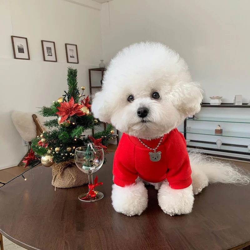 Klein Hund Plüsch-Futter Weihnachtsembrodiertes Weihnachtsbaum Sweatshirt