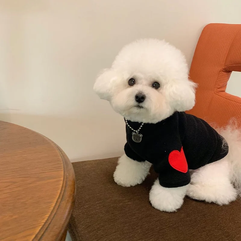 Klein Hund Leichtgewicht Baumwollmischung Rundhals Pullover mit roten Herz-Seitennähten